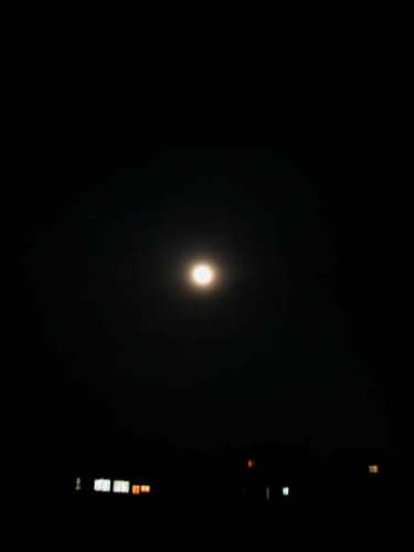 月夜の騒動