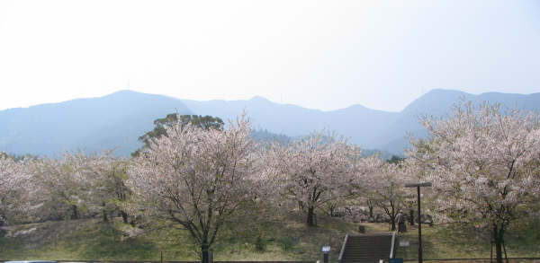 廣瀬公園