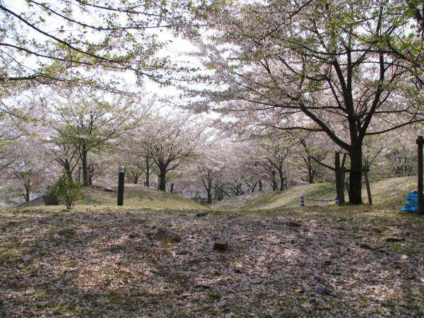 廣瀬公園