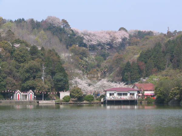 滝の宮公園