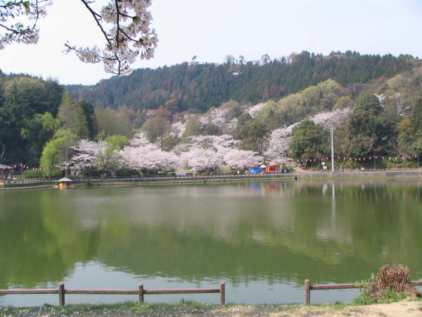 滝の宮公園