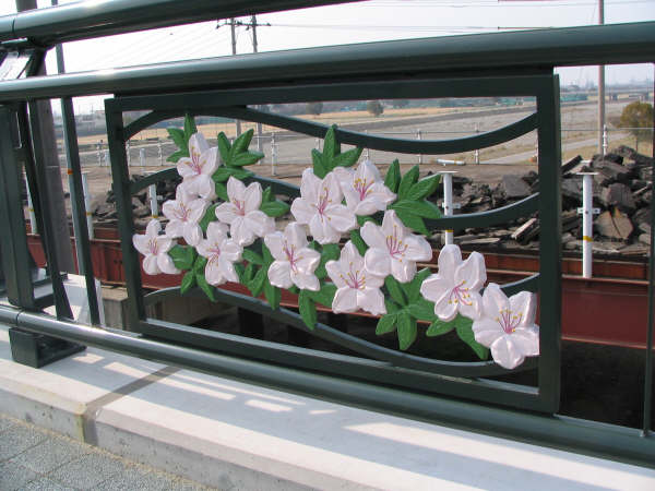 欄干の桜