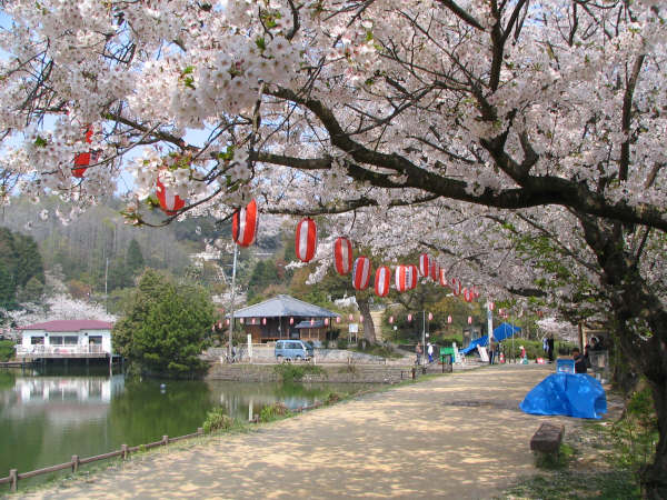 滝の宮公園