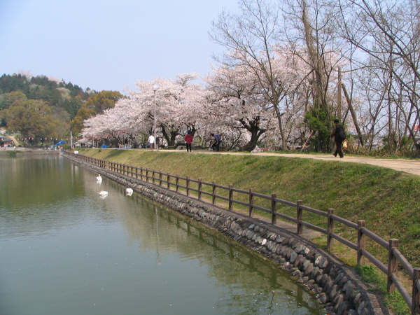 滝の宮公園
