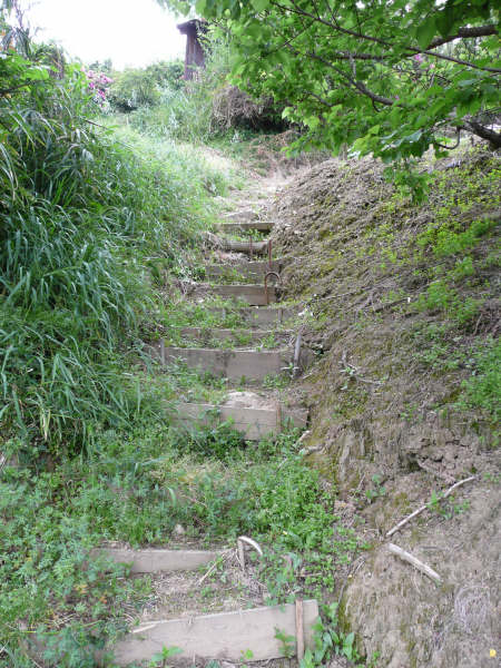 手作りの遊歩道
