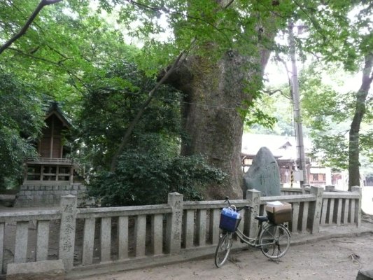 一宮神社3.