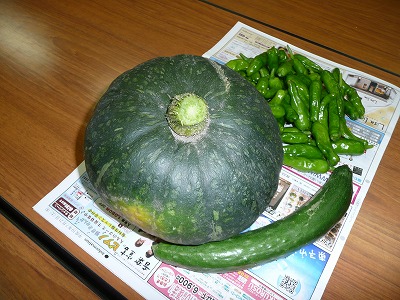 旬のモノ