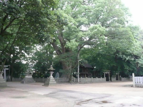 境内
