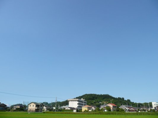 涼を求めて