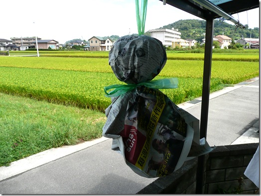 てるてる坊主.