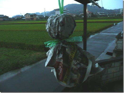 てるてる坊主