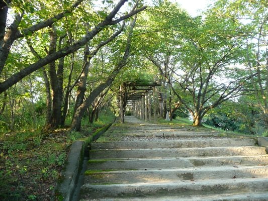 金子山