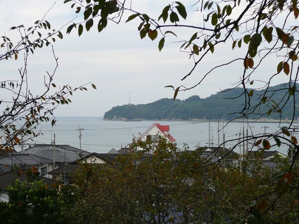 木陰から大島が見える