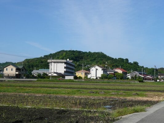 ある朝