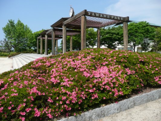 山根公園b