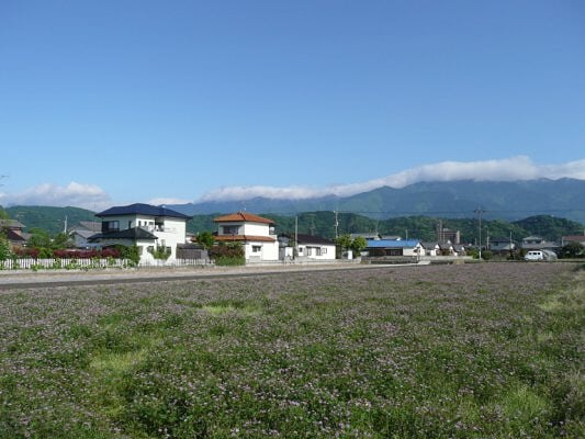 ５月のある朝
