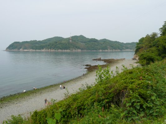 海