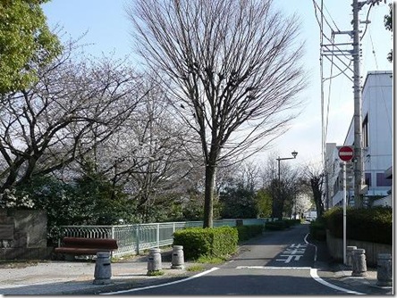 うららかな裏通り1