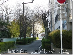 裏通り 裏通り