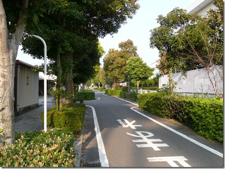 いつもの裏通り