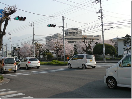 ここを渡って。