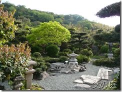 父の庭 父の庭