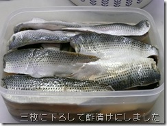 美味しく漬かります様に！