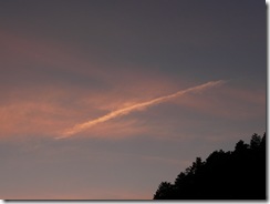 あ、飛行機雲