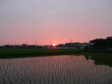 夕日