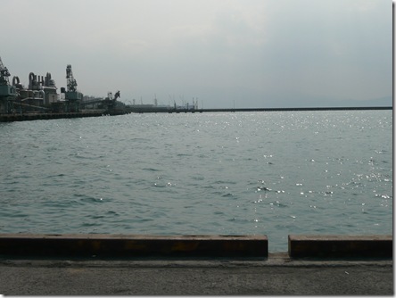 海が光る