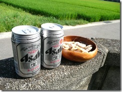 夏の風物詩 夏の風物詩
