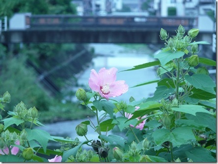 小雨の中