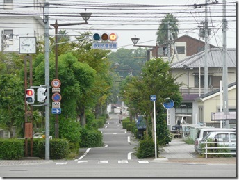 百日紅が・・・