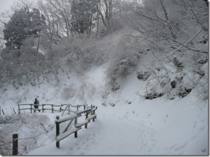 成就社までの雪道 成就社までの雪道