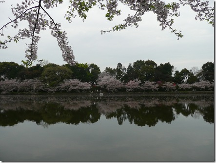 広瀬公園