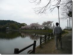 公園の散策
