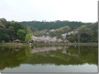 滝宮公園