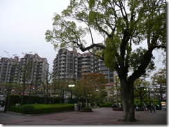 P1030899