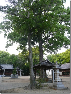 一宮神社