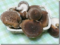 船木産しいたけ 船木産しいたけ