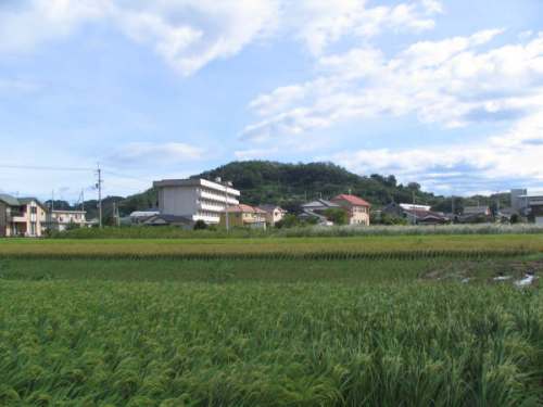 垣生山と水田