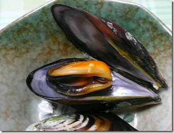 ムール貝 ムール貝
