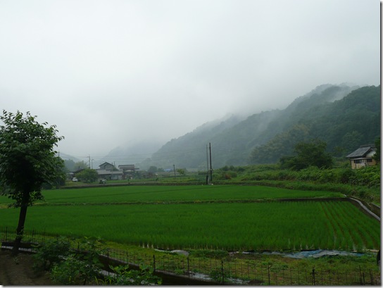 阿島