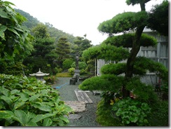 庭