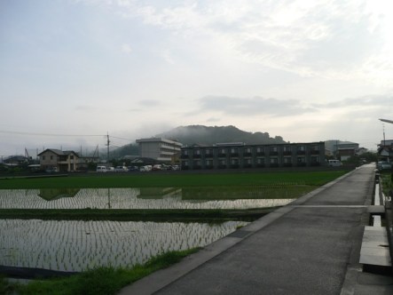 景観がちょっと変わりました 景観がちょっと変わりました