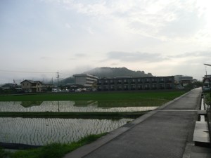 景観がちょっと変わりました 景観がちょっと変わりました