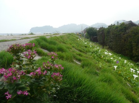 防波堤 防波堤