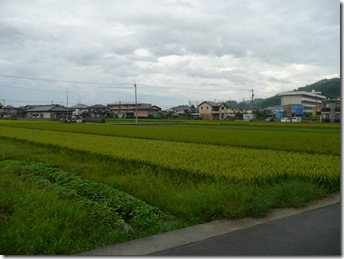 雨の中