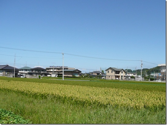 青い空 青い空