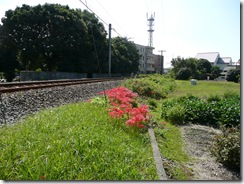 P1040954